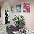 увеличить "Орхидея" в Звенигороде