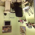 увеличить "Орхидея" в Звенигороде